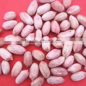 Manufacture Factory of Peanut in Hell and Dried Peanut thumbnail-6