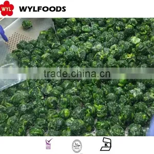 Price for Frozen Spinach thumbnail-4