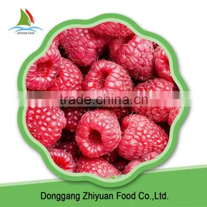 Supply IQF Frozen Black and Red Raspberry Whole With Good Quality thumbnail-5