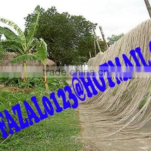 Raw Jute thumbnail-5