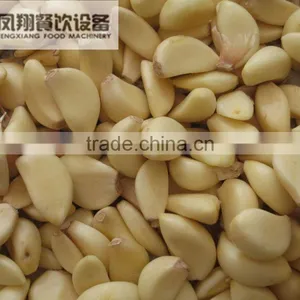 FX-128s Automatic Stainless Steel Sale Garlic Peeler Machine,garlic Skin Removing Machine ,garlic Peeling Machine thumbnail-6