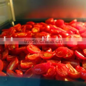 Sun Shine Sun Dried Tomatoes thumbnail-6