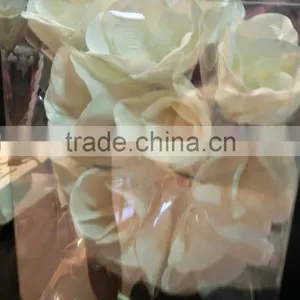 Sola Flower Lights thumbnail-1