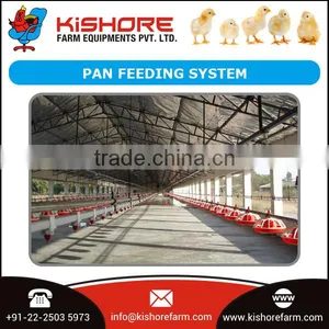 Well Designed Poultry Feeding System for Bulk Broiler at Best Price thumbnail-3
