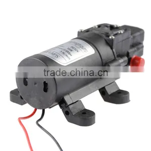 15w30w Micro Diaphragm High Pressure Water Pump With Automatic Switch thumbnail-6