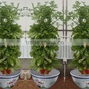 Family Gardening Service and Products thumbnail-2