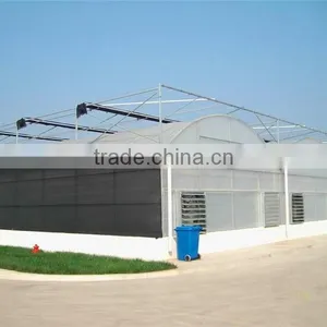 Muiti Span Tunnel PC Sheet Greenhouse for Vegetable and Fruit thumbnail-3