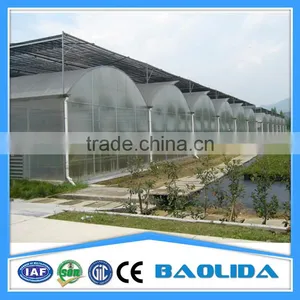 BaoLiDa pc Shed Greenhouse Hot-dip Galvanized Steel Pipe Structure for Roses thumbnail-1
