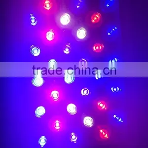 300W LED Growing Light Plant and Bloom Growing Light thumbnail-5