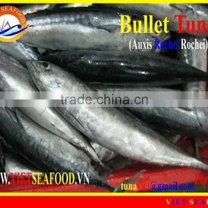 FROZEN W/R BULLET TUNA thumbnail-1