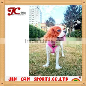 JC05 Soft Mesh Dog Puppy Pet Harness Adjustable thumbnail-6