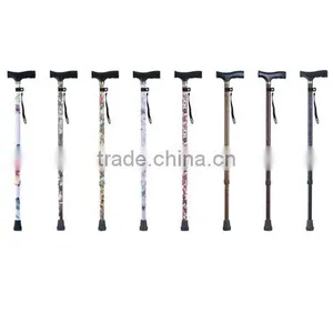Walking Stick thumbnail-1