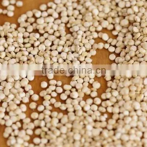 Bulk Supplier of Quinoa Seed thumbnail-1