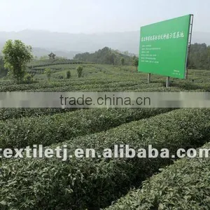 Organic Green Tea /hanzhongxianhao thumbnail-1