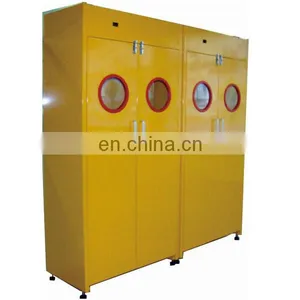 Gas Cylinder Cabinet thumbnail-1