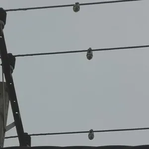 Remote Overhead Line Fauit Circuit Sensor for Smart Grid thumbnail-4