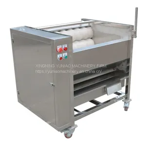 China Vegetable Washing Polishing Equipment Potato Processing Machine Manufacturer #Ghana WT/8613824555378 thumbnail-3