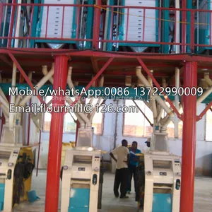 African Standards Maize Large Commercial Efficiency 100ton Corn Flour Mill Machine With Price thumbnail-1