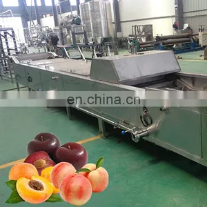Industrial Fruit Vegetable Puree Jam Making Machine Production Line thumbnail-1
