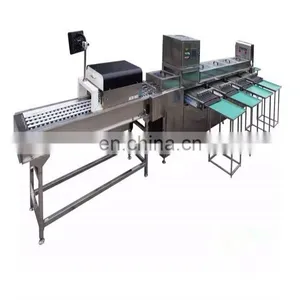 Commercial Egg Cleaning and Sorting Machine thumbnail-2