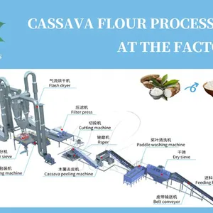 Cassava Flour Processing Engine Automatic Cassava Powder Milling Machine Cassava Flour Processing Factory Equipment thumbnail-2