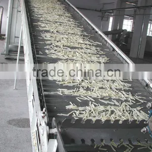 Frozen French Fries Potatoes Machine/Fresh Potato Chips Making Line thumbnail-1
