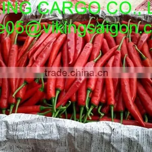FRESH SMALL CHILI thumbnail-5