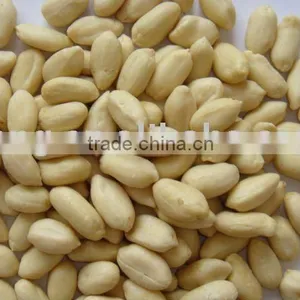 Blanched Peanut Kernels thumbnail-1