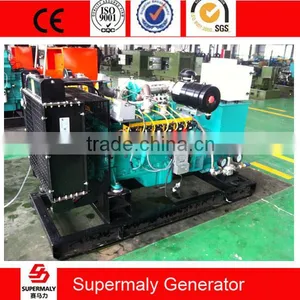 Hot Sale ! 60kva Natural Gas Generator With Cummins Engine thumbnail-1