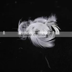 Factory Price 2-4cm Washed White Goose Feather fo Selling thumbnail-2