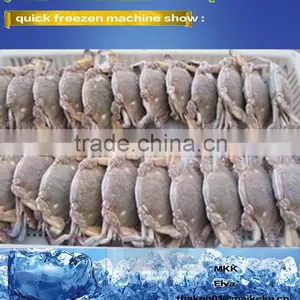 Rozen Ark Stainless Steel Two-door Big Production Can be Customized Seafood Frozen Ark thumbnail-1