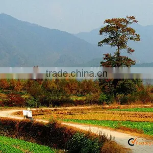 Paper Printed Landscape Paintings Wholesale thumbnail-1