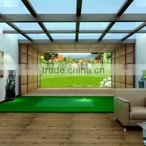 3D Screen Golf Equipment thumbnail-4
