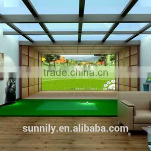 Virtual Golf thumbnail-1