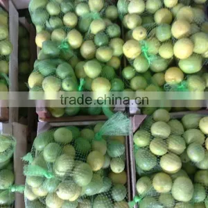 Fresh Lime thumbnail-2