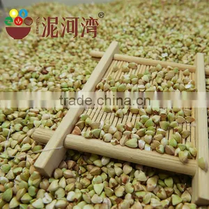 Raw Buckwheat Kernel 2016 Crop thumbnail-4