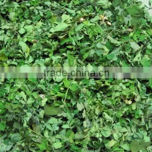 DRIED MORINGA LEAVES thumbnail-1