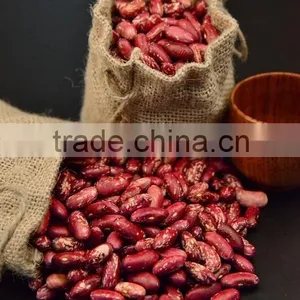 Dried Red Speckled Kidney Bean thumbnail-1