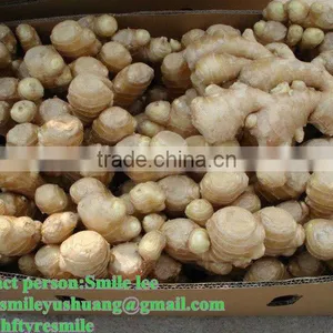 2012 Farm Fresh Yellow Dehydrated Ginger thumbnail-1