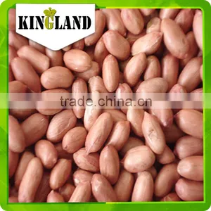 Bulk Peanut Kernel thumbnail-5