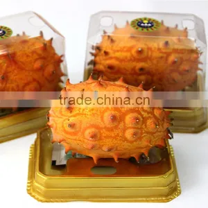 Hedged Gourd Melano Kewana Cucumis Metuliferus Seeds thumbnail-3