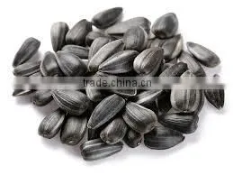 Organic Sunflower Seeds in Shell Chinese Confectionery Sunflower Seeds thumbnail-1