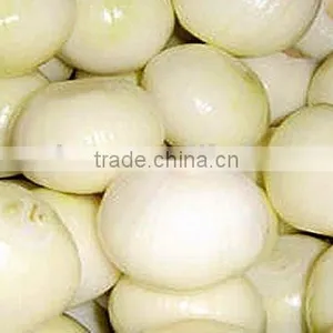 Fresh Onions thumbnail-1
