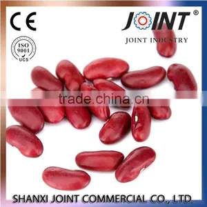 ECO- Friendly Organic England Dark Red Kidney Beans thumbnail-1