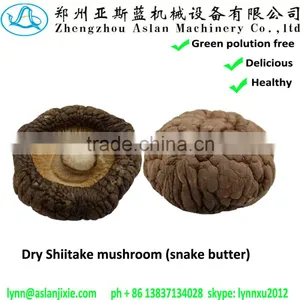 Hot Sale Shiitake Mushroom for Sale thumbnail-1