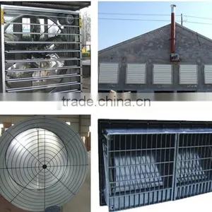 Automatic Chicken Rearing Equipment for Breeder thumbnail-6