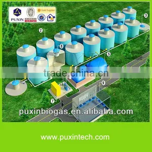 100% Success Rate PUXIN Big Biogas Plant for Poultry Manure Treatment thumbnail-1