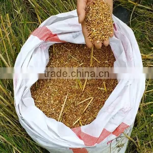 New Small Mini Rice Wheat Combine Harvester thumbnail-6