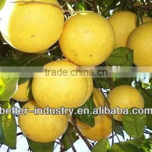 100L Professional Essential Oil Making Machine for Sale thumbnail-1