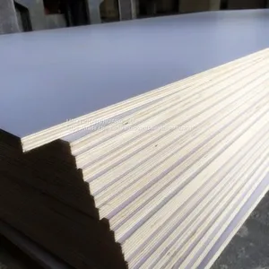 Film Faced Plywood thumbnail-5